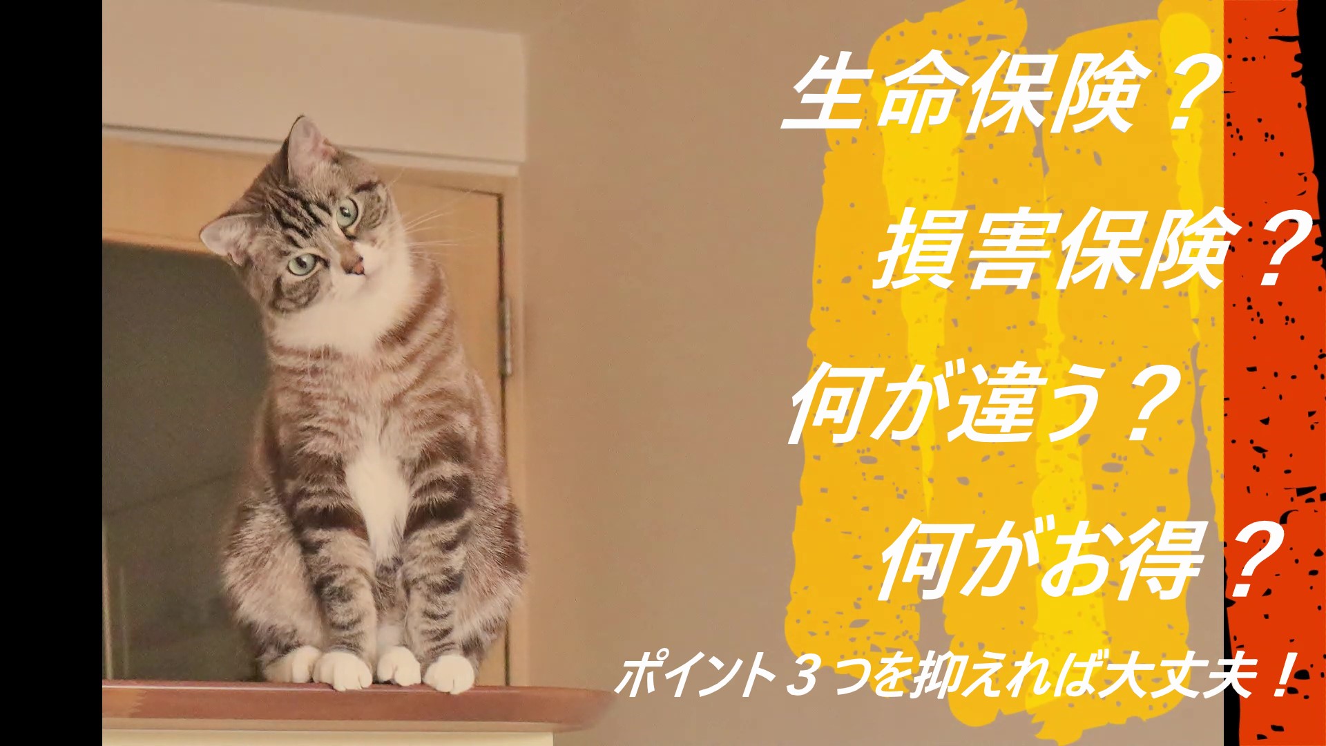 生命保険と損害保険の違いのポイント ｜ げりらFPがりょう