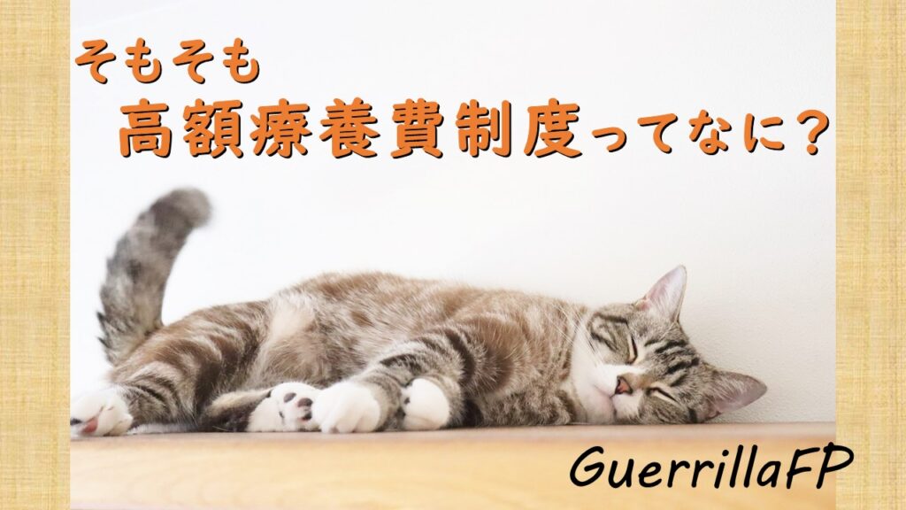 そもそも高額療養費制度ってなに？計算方法は？理解の「ステップ３つ」と知らないと損する「ポイント３つ」